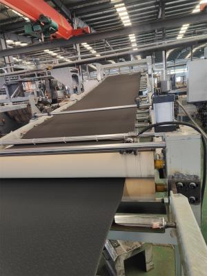 雙螺桿片材生產(chǎn)線(xiàn)：品質(zhì)與效率并存的最佳選擇